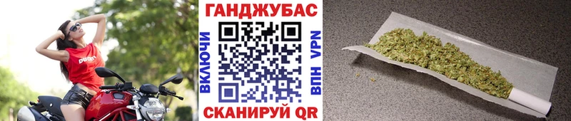 MEGA   Михайловка  Бошки Шишки Amnesia 