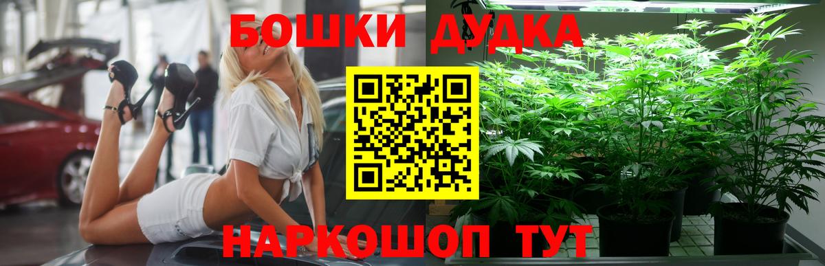 Конопля гибрид Михайловка
